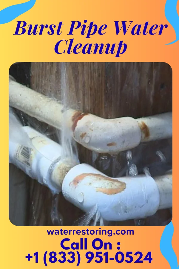 Burst Pipe Water Cleanup in Vidor, TX