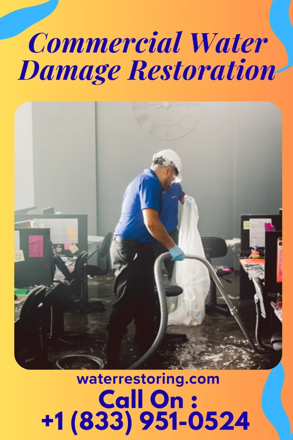 Commercial Water Damage Restoration in Vidor, TX