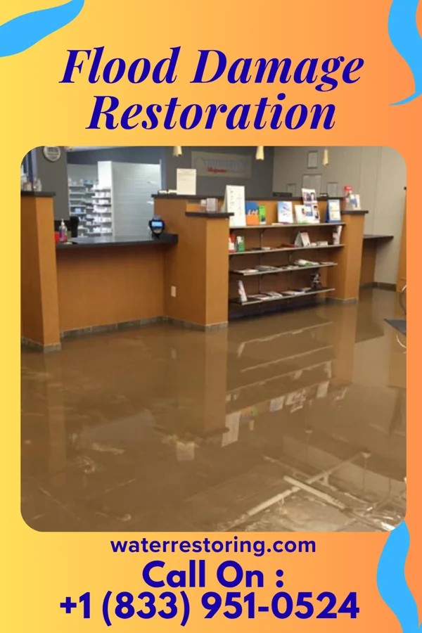 Flood Damage Restoration in Vidor, TX