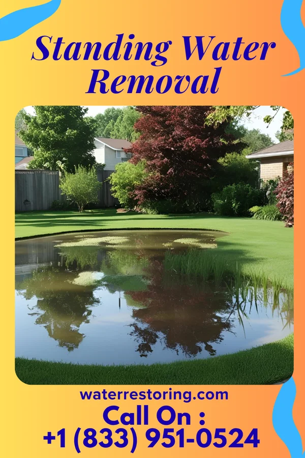 Standing Water Removal in Vidor, TX